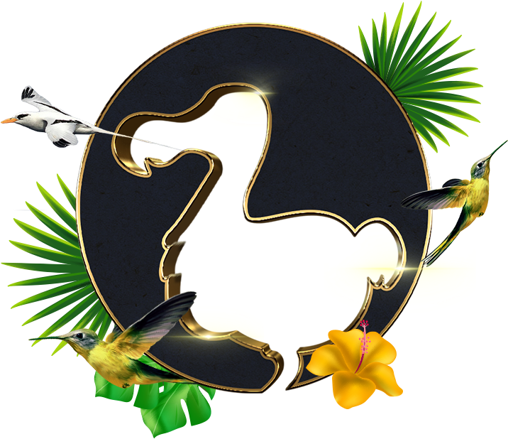 0 Replies 1 Retweet 4 Tweety Sa Páčili - Duck (800x800), Png Download