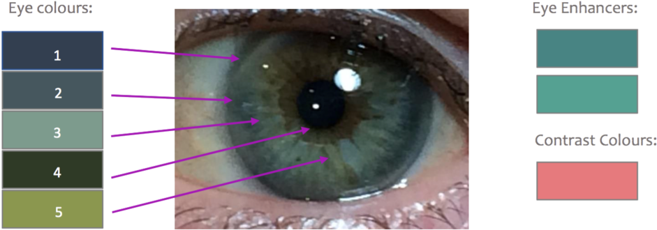 1000 X 379 1 - Close-up (1000x379), Png Download