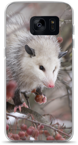 Snowpossum ☆ Samsung Case - Possum (600x600), Png Download