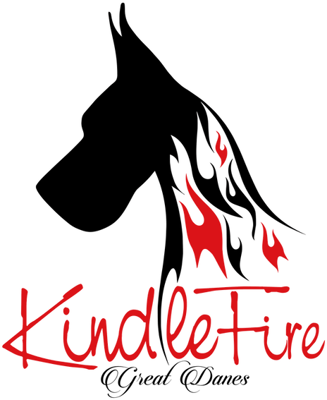 Home To Akc Conformation & Performance Great Danes - Guard Dog (591x591), Png Download