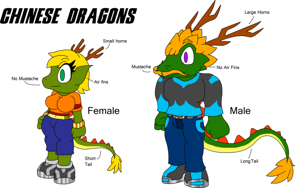 The Dragons Of Arrow - China Chinese Dragon (1024x653), Png Download