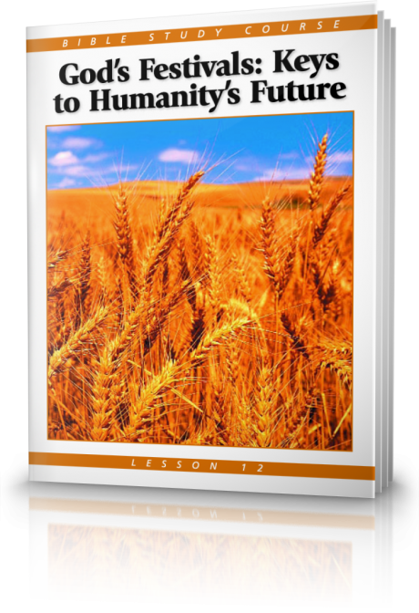 Wheat (460x672), Png Download
