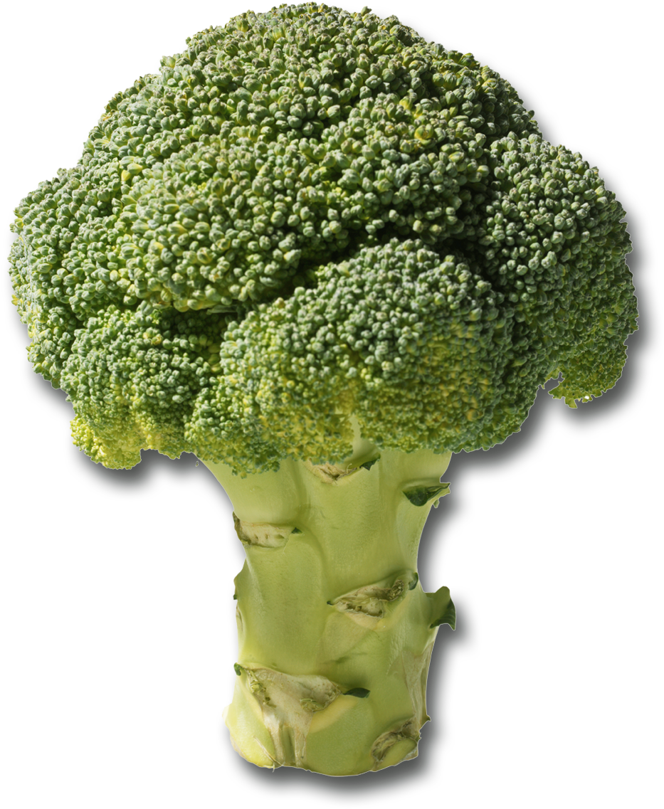 Tronc De Brocoli Une Fois Qu'il Est Pelé, Le Tronc - Plants That Grow On Loamy Soil (1200x1200), Png Download