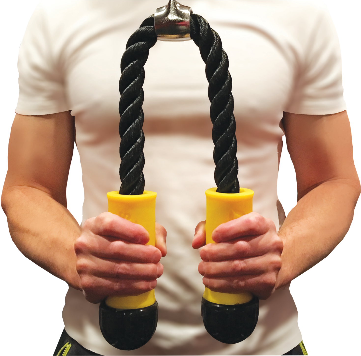 Triceps Brachii Muscle (1470x1448), Png Download