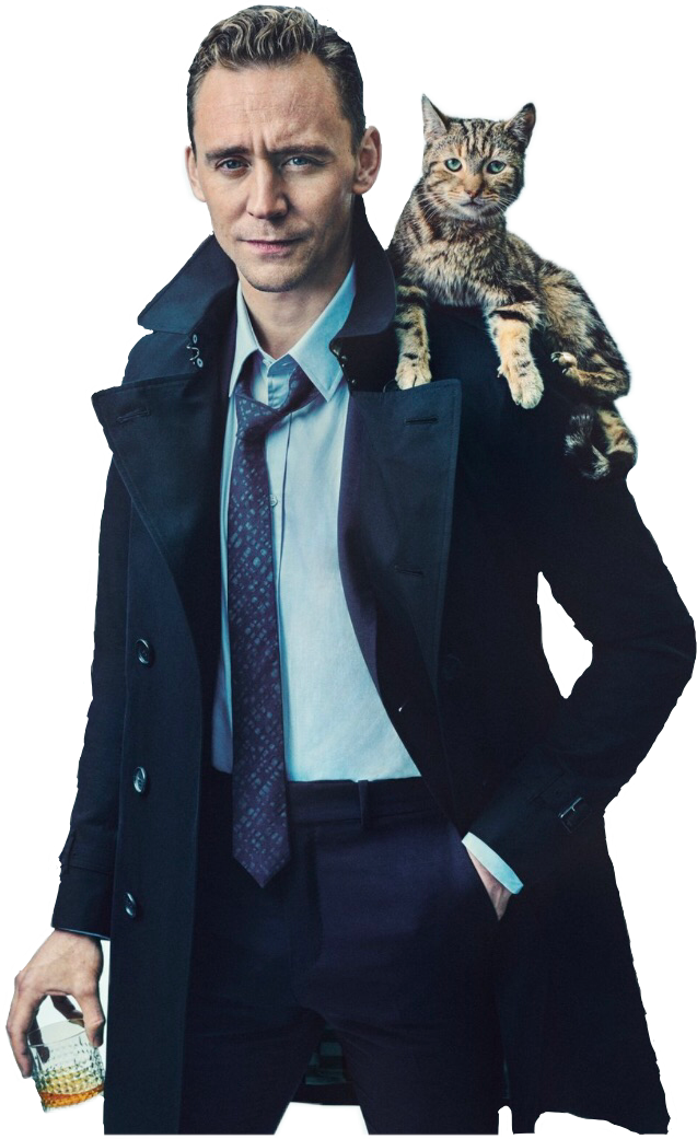Discover The Coolest - Tom Hiddleston And Cat (637x1041), Png Download