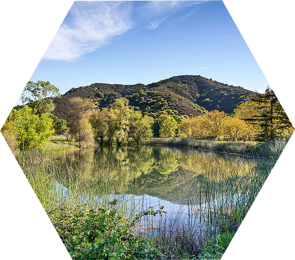 Land-pond1 - Reflection (600x530), Png Download