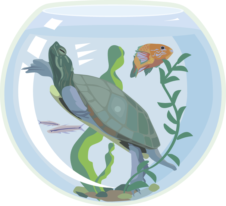 Fish Tank Clipart Transparent Clip Art Free Transparent PNG