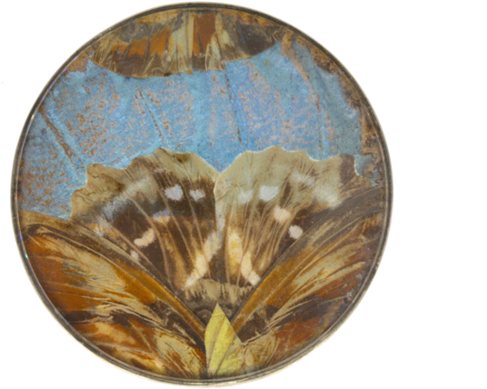 1920s Butterfly Wing Brooch - Circle (700x467), Png Download