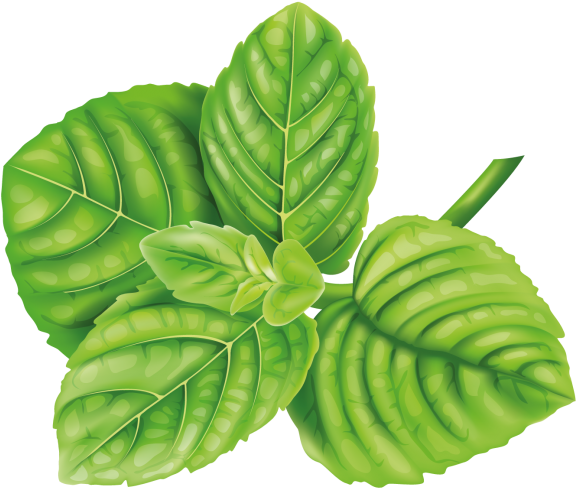 Mint - Lime Painting Png (866x650), Png Download