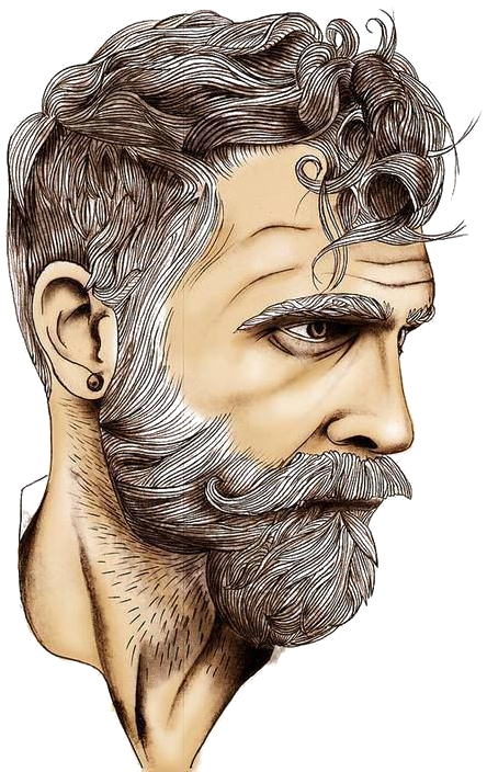 Art Sketch White Bearded Man Transprent Png - Drawing Bearded Man (527x711), Png Download