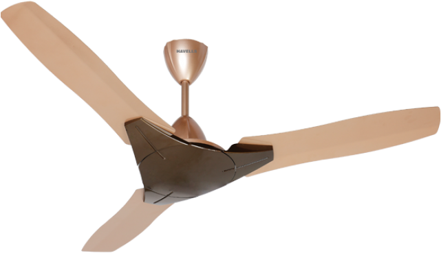 Trioka Honey-650x500 - Havells Fan New Model (650x500), Png Download