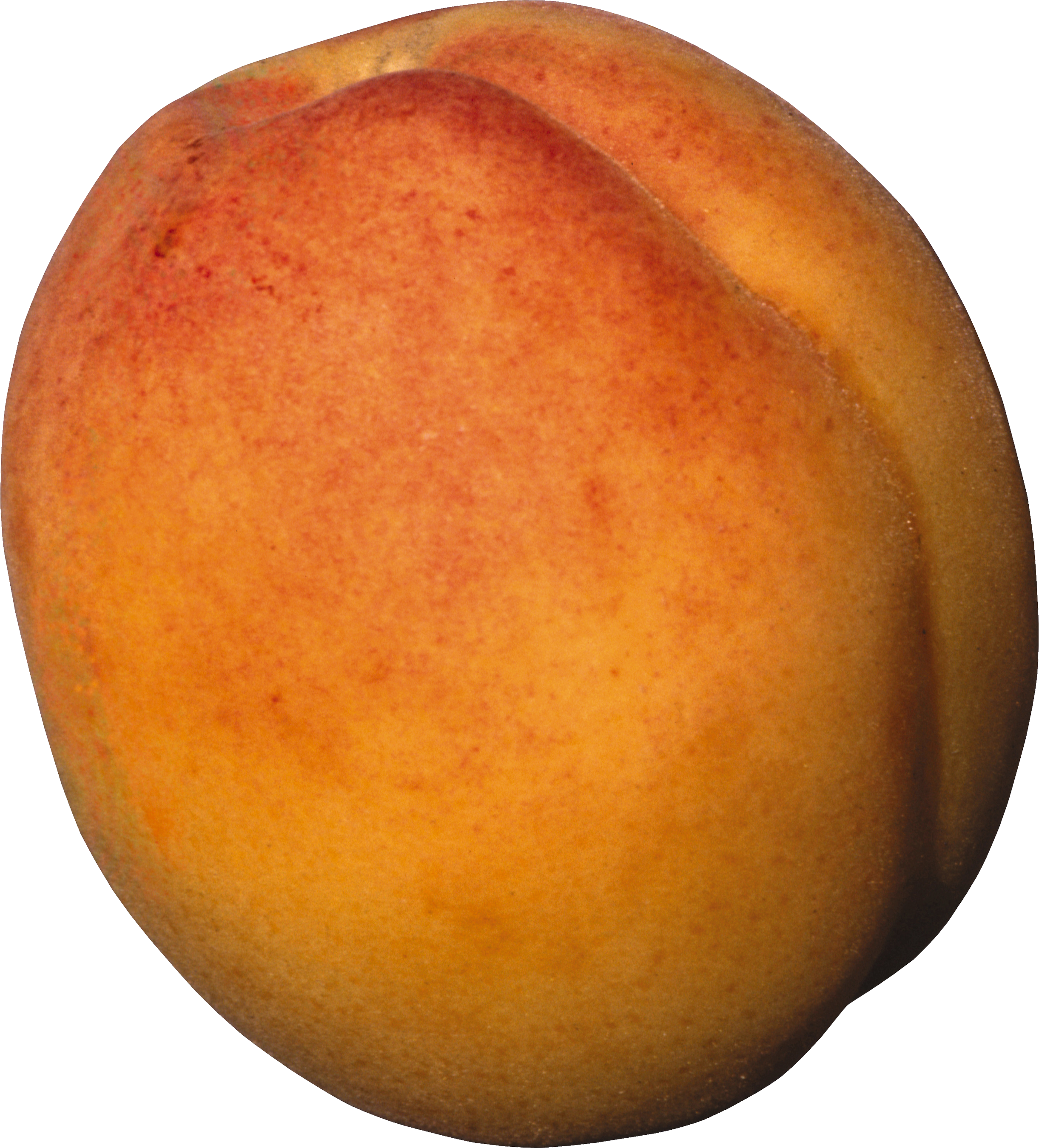 Clip Art Freeuse Stock Peach Png Image - Peach (2443x2700), Png Download
