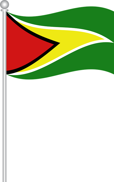 Guyana Flag Png (452x720), Png Download