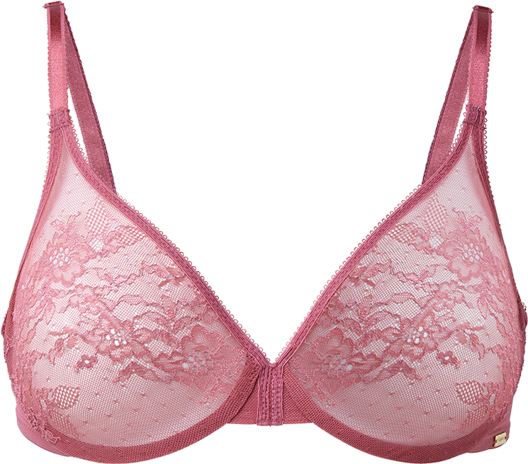 Brassiere (800x1000), Png Download