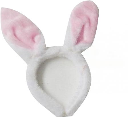 Domestic Rabbit (1024x767), Png Download