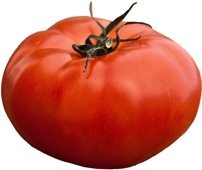 Isolated, Beefsteak Tomato, Vegetables, Food, Garden - Tomate Caqui Png (809x720), Png Download