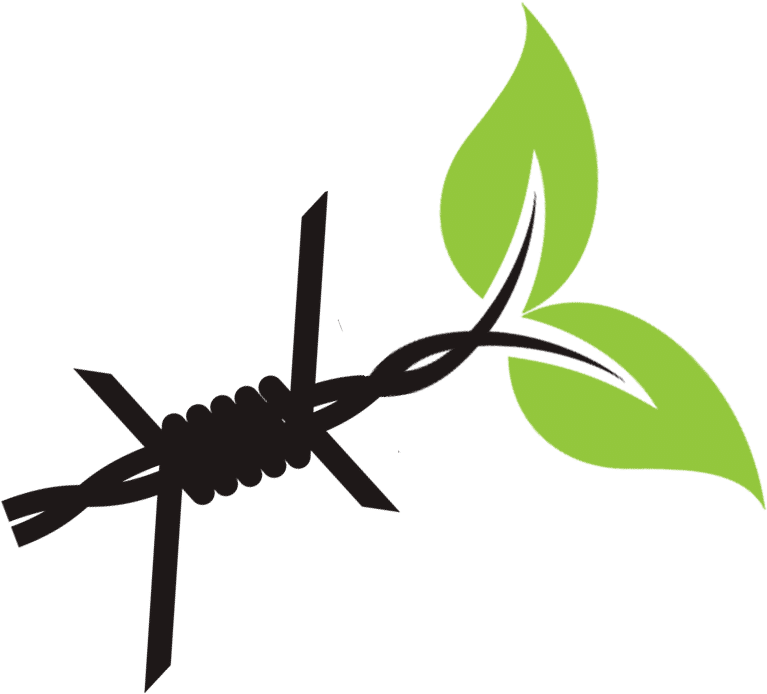 Research Teams - Insect (831x740), Png Download