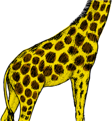 Giraffe Clipart Turquoise - Black And White Giraffe Clip Art (640x480), Png Download