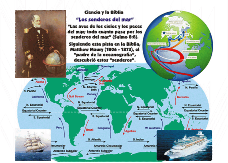 Los Senderosdel Mar - Western Margins Of Continent (912x651), Png Download