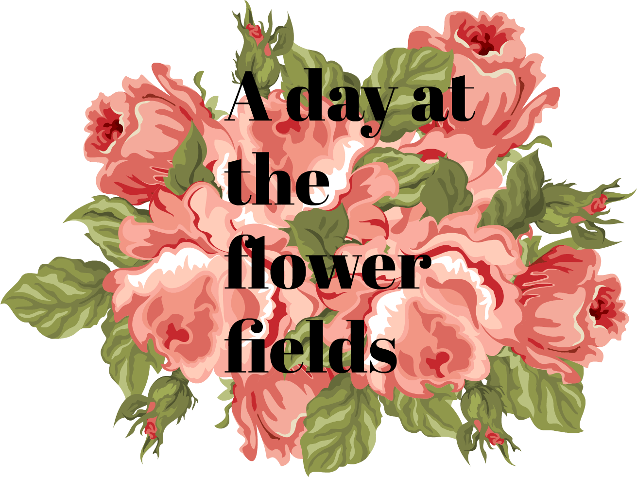 Floral Love Facebook Cover - Bouquet (1920x1080), Png Download