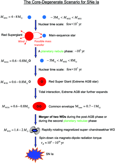 A Schematic Summary Of The Core Degenerate Scenario - Diagram (536x693), Png Download
