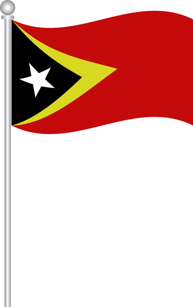 Flag Of East Timor,flag,east Timor,world Flags,free - Png Trinidad And Tobago Flag (807x1280), Png Download