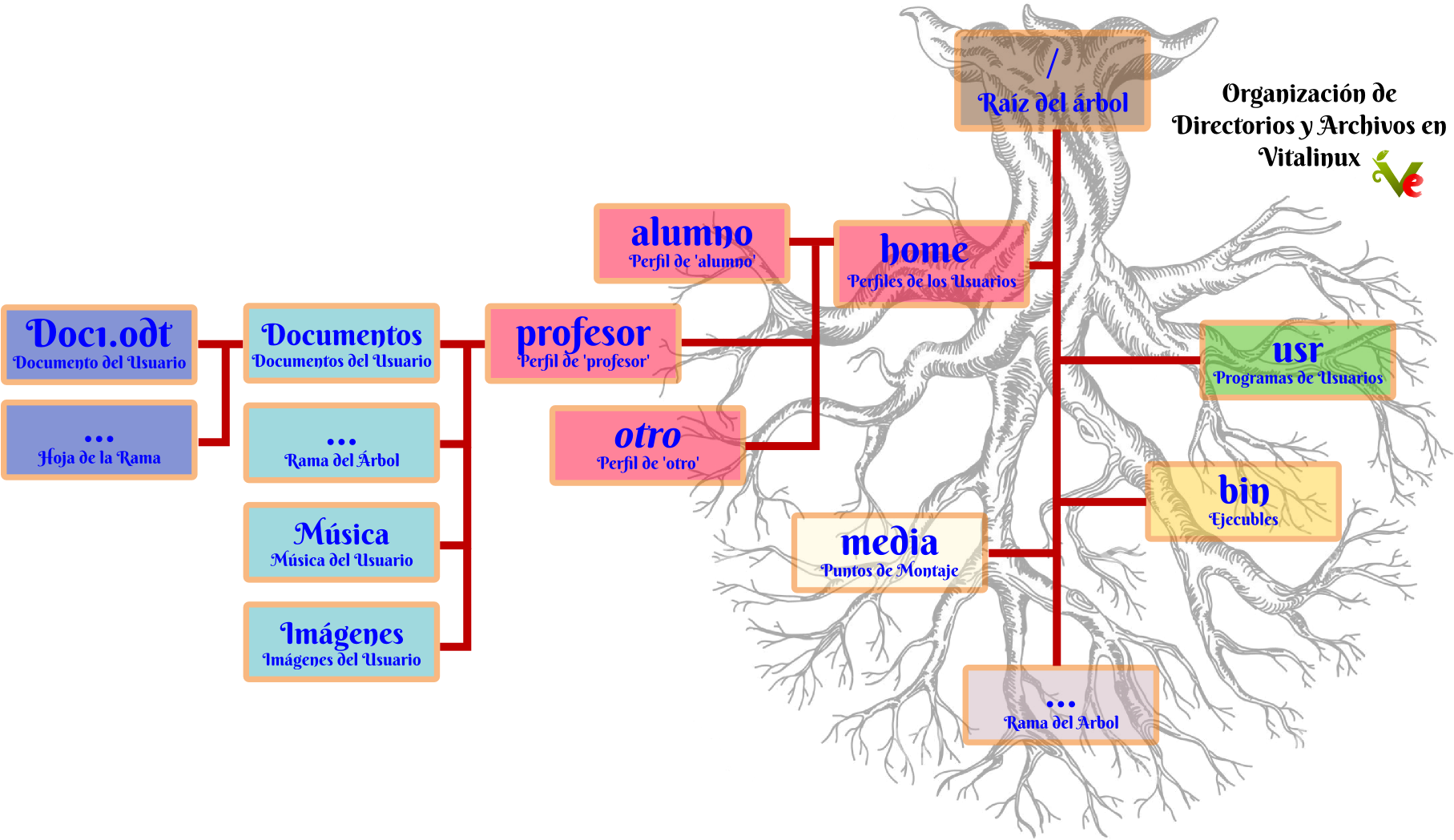 Vitalinux Organiza Los Directorios Y Archivos En Una - Estructura De Directorios Y Archivos (1853x1061), Png Download