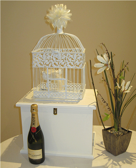 Sydney Wedding Wishing Wells - Cage (869x700), Png Download