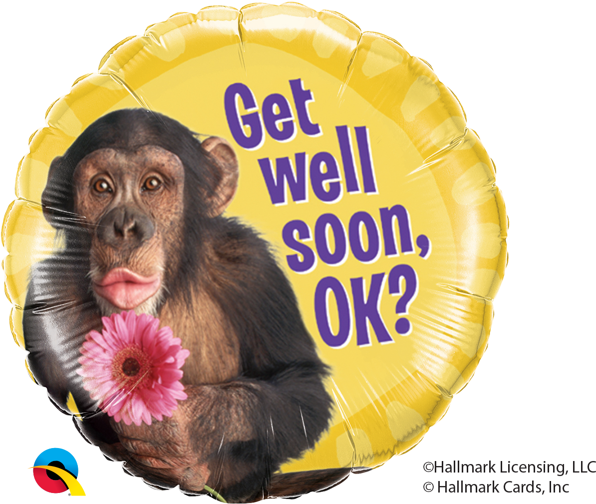 Chimpanzee Png (1522x1008), Png Download