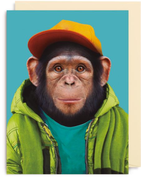 Common Chimpanzee - Lagom Design - Chimpanzee (800x857), Png Download