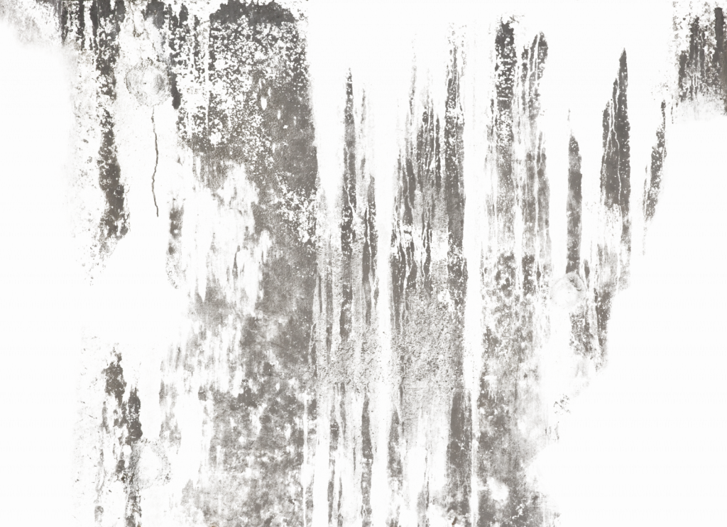 Dirty Texture Transparent - Canoe Birch (1024x742), Png Download