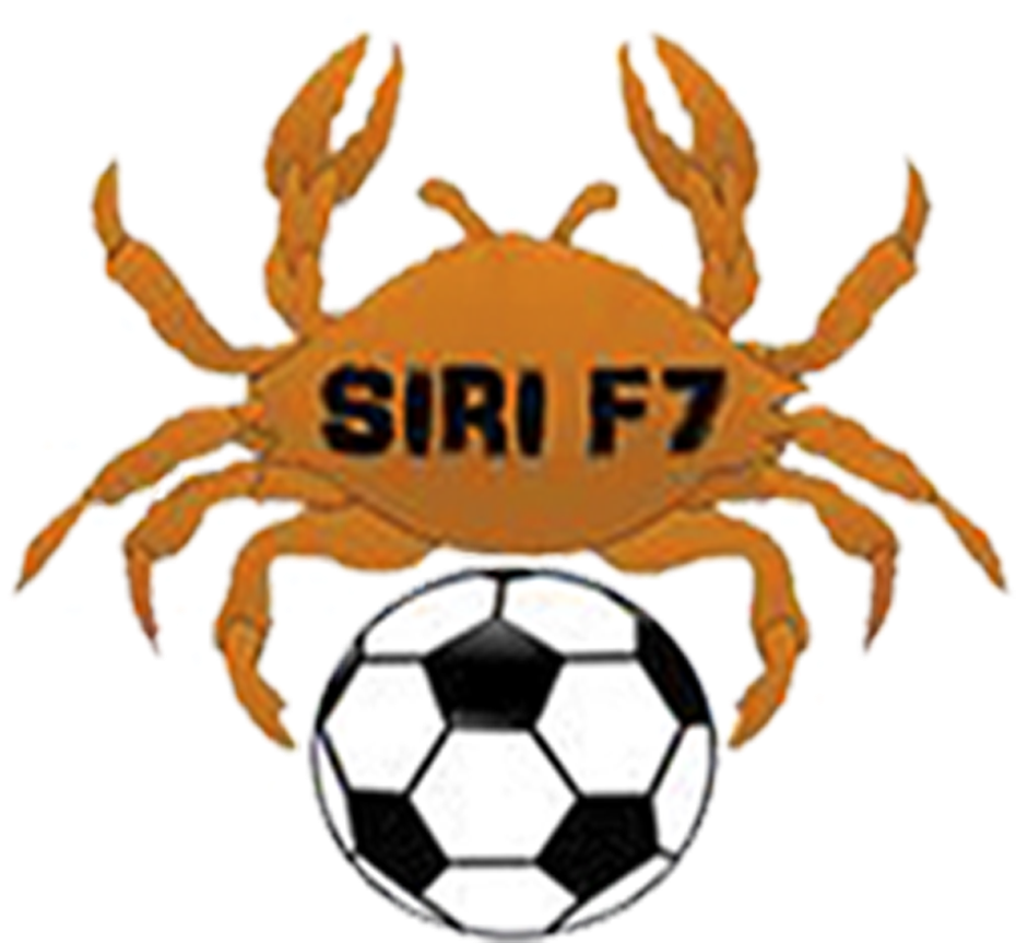 Siri - Volleyballball Clipart Black And White (960x960), Png Download