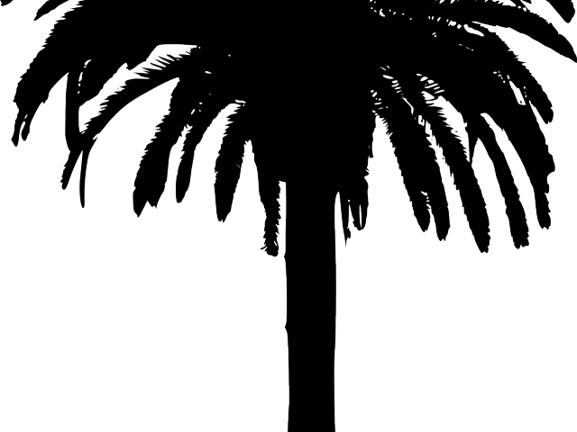 Bamboo Clipart Island Border - Png Silhouette Palm Tree (640x480), Png Download
