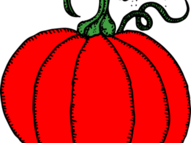 Red Pumpkin Cliparts - Line Drawing Pumpkin Clip Art (640x480), Png Download