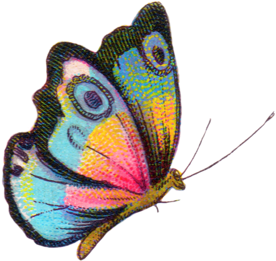 Royalty Free Image - Free Printable Colorful Butterfly Pdf (1005x943), Png Download
