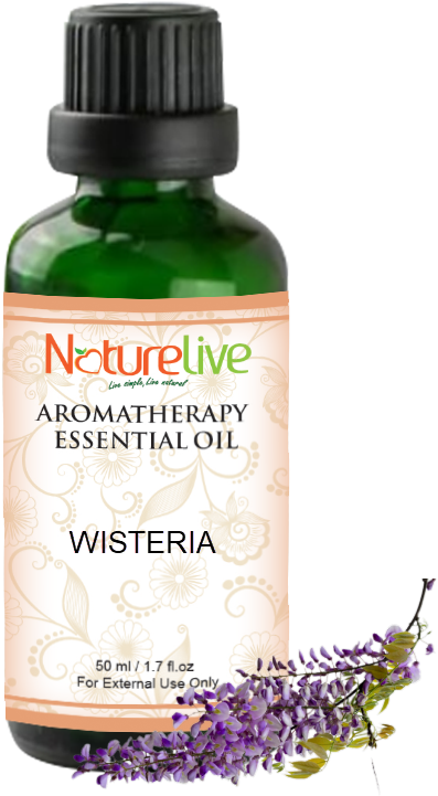 Wisteria Aromatherapy Essential Oil 50ml - English Lavender (800x800), Png Download