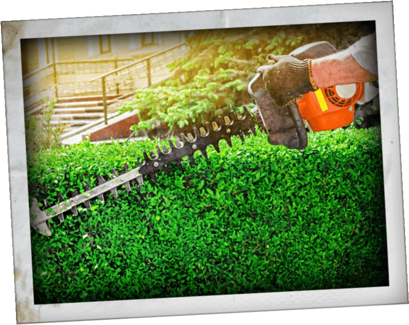 No Need To Worry About Overgrown Shrubbery As We'll - Hedge (900x700), Png Download