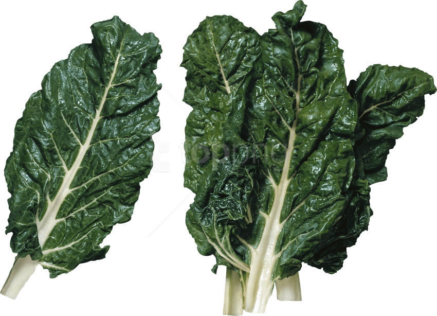 Free Png Download Salad Png Images Background Png Images - Green Leafy Vegetables Transparent Background (850x614), Png Download