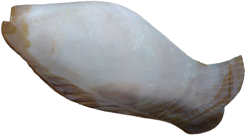 Fish Shaped Designer Platter - Mussel (500x750), Png Download