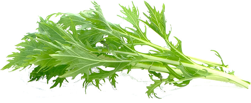 Check Out The Available Crops - Arugula (827x591), Png Download