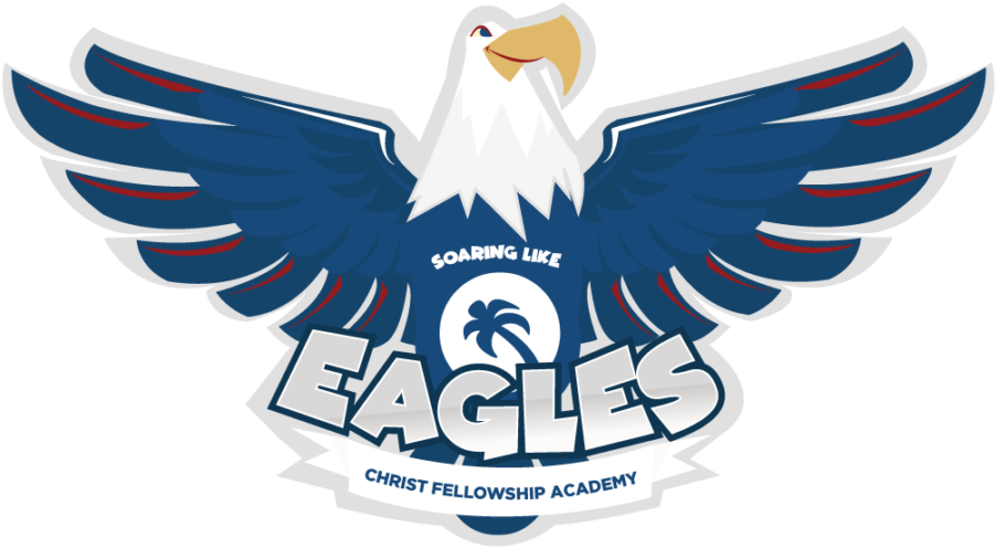 Bald Eagle (1100x560), Png Download