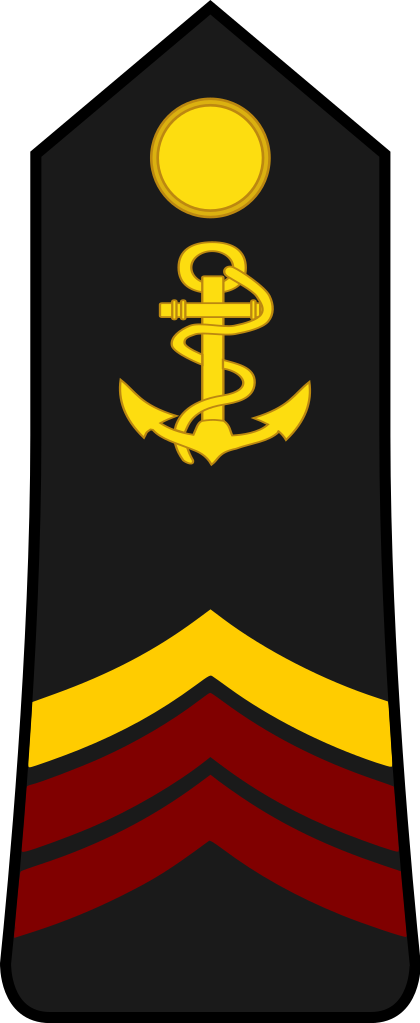 Cameroon Navy Or - Crest (420x1023), Png Download