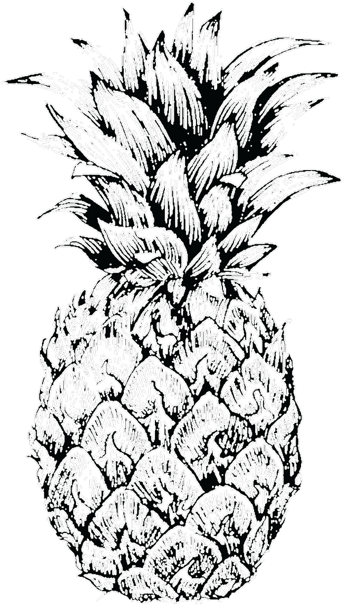Pineapple Sketch At Paintingvalley Explore Collection - Pineapple Sketch (1285x1542), Png Download