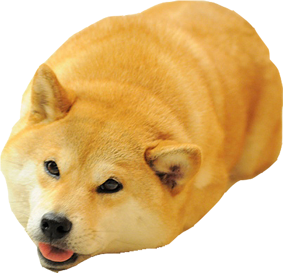 Shiba Dog's Head Messages Sticker-2 - Dog Meme Png (618x618), Png Download