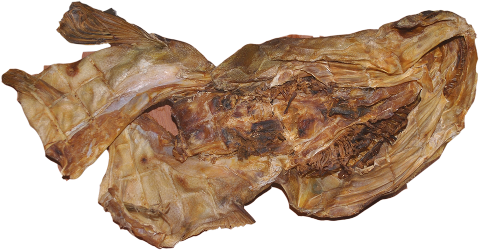 Stock Fish Head - Igneous Rock (1180x680), Png Download