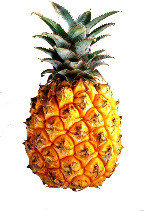 40 Images About On My Earrings On We Heart It - Fibonacci Fruit (487x750), Png Download