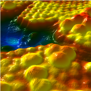 Virus Research - Visual Arts (720x480), Png Download