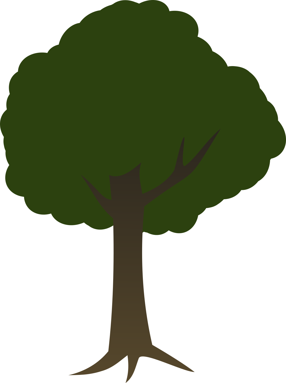 Tree - 2d Tree Transparent Background (1165x1559), Png Download