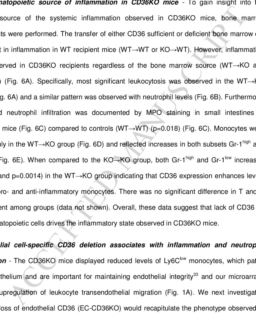 The Small Intestine Of Ec-cd36ko Mice Exhibited Increased - Record Of Transfer For Trinity School (850x1040), Png Download