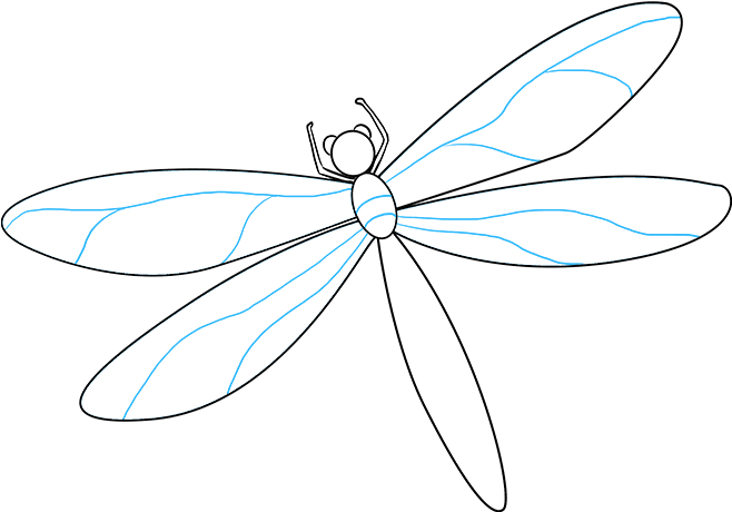 How To Draw Dragonfly - Dragonfly (680x678), Png Download